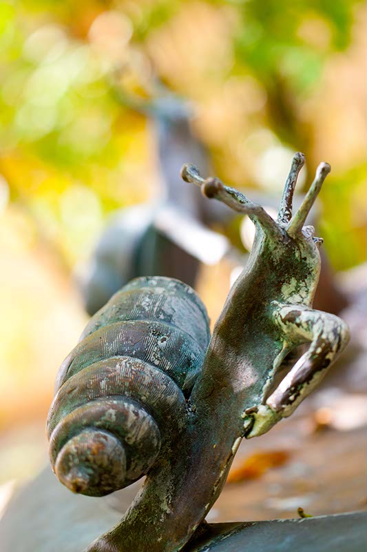 Sommergarten am Schneckenbrunneb_3