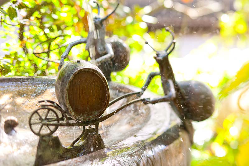 Sommergarten am Schneckenbrunneb_5