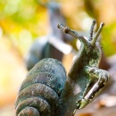 Sommergarten am Schneckenbrunneb_3